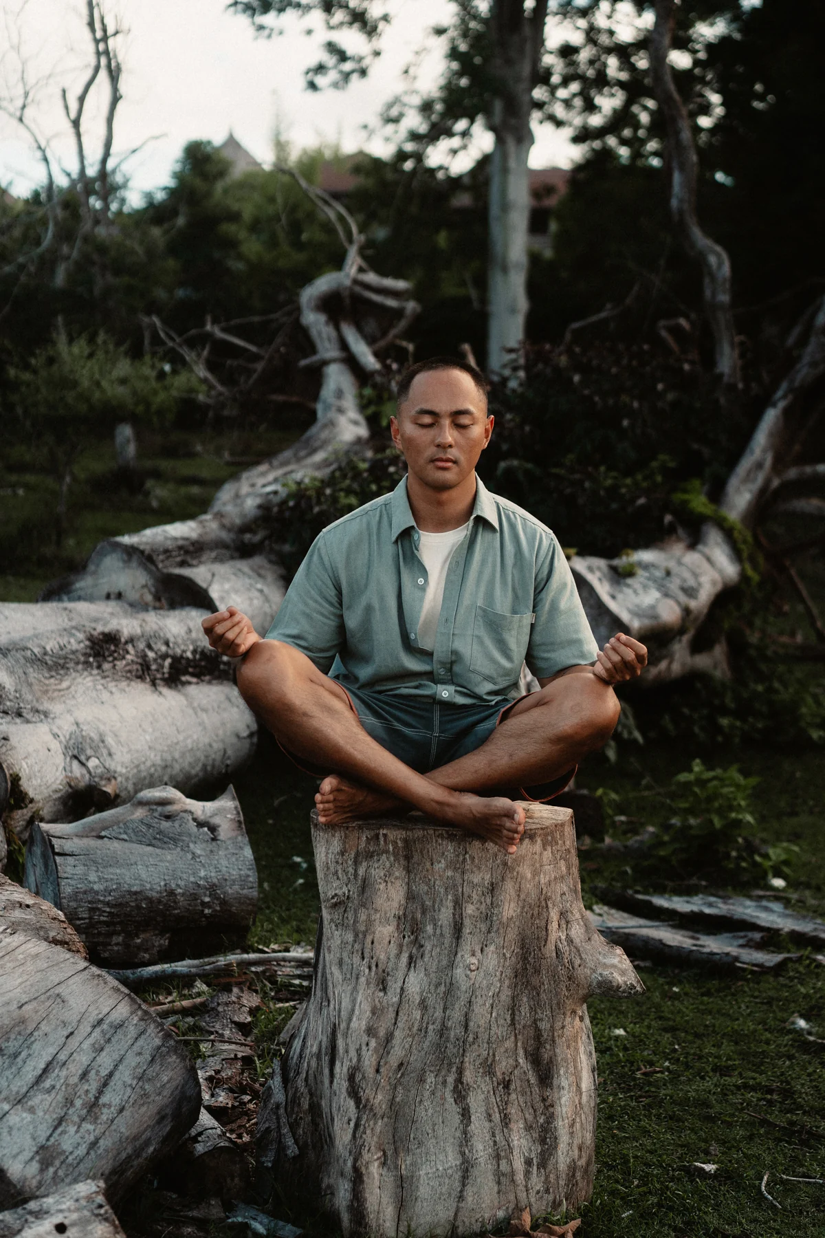 Meditation in the forest